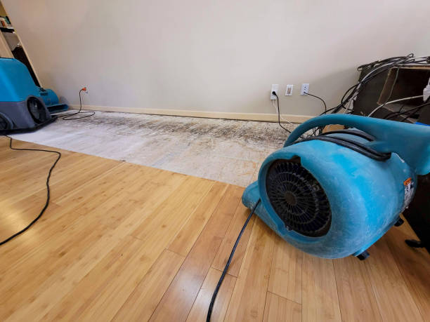 Professional Flood Damage Cleanup technician working in West Hyannisport, MA